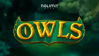 Owls main thumbnail