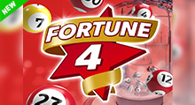 Fortune 4