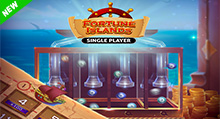Fortune Islands : Single Player