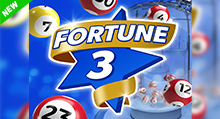 Fortune 3