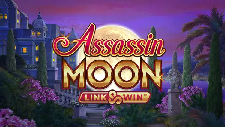 Assassin Moon 