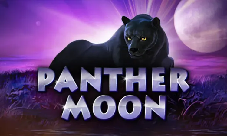 Panther Moon