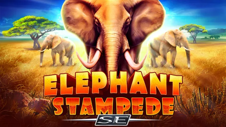 Elephant Stampede