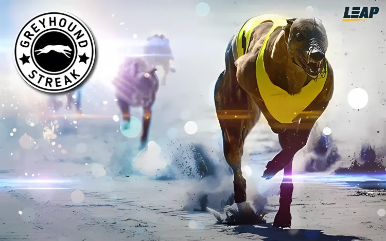 Greyhound Streak 