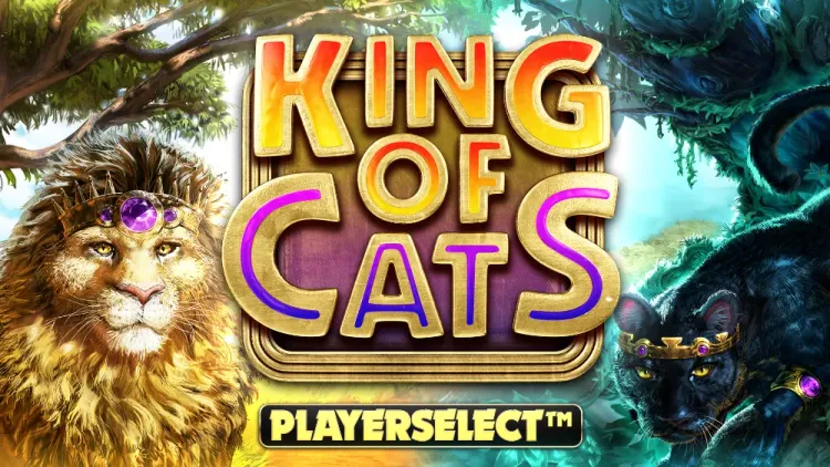 King of Cats